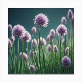 Chives 5 Canvas Print