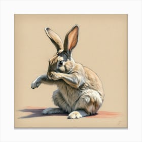 Rabbit 8 Canvas Print