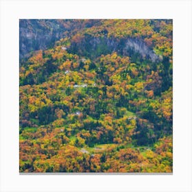 Fall Foliage In The Mountains Canvas Print