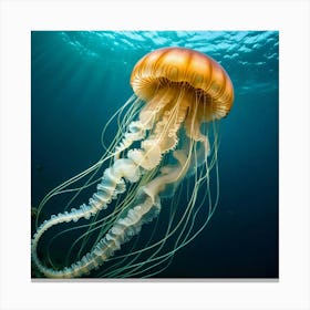 Jellyfish 6 Canvas Print