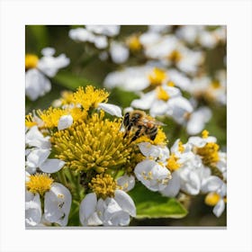 Bee On A Flower 4 Canvas Print