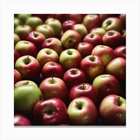 Red Apples 1 Canvas Print