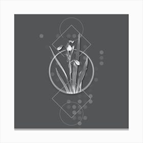 Vintage Tall Bearded Iris Botanical with Line Motif and Dot Pattern in Ghost Gray Canvas Print