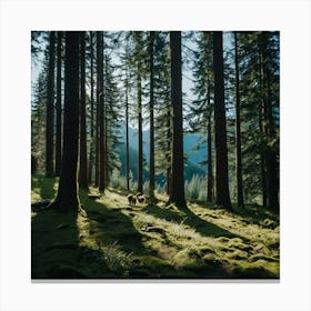 Spruce Forest Canvas Print