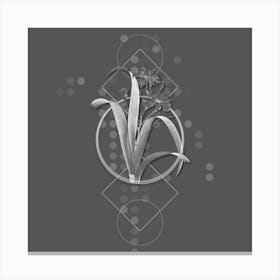 Vintage Iris Fimbriata Botanical with Line Motif and Dot Pattern in Ghost Gray n.0086 Canvas Print