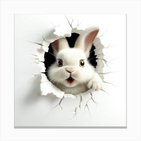 Rabbit Peeking Out Of A Hole 2 Canvas Print