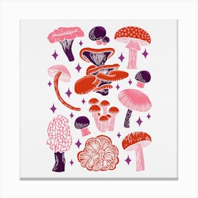 Texas Mushrooms   Red Pink And Purple Square Canvas Print