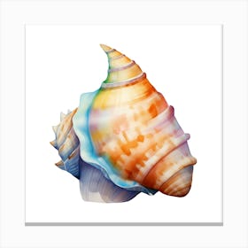 Colorful Sea Shell 3 Canvas Print