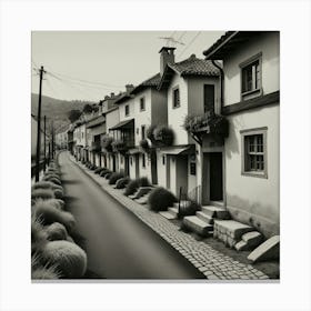 Street In Portugal Canvas Print