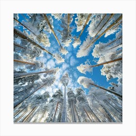 Snowy Forest 6 Canvas Print