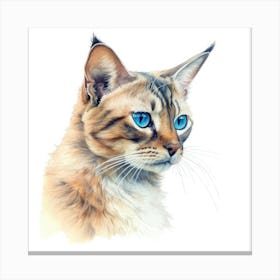 Exotic Cat Portrait 1 Canvas Print