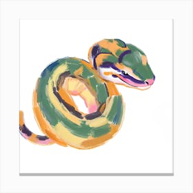 Ball Python Snake 06 Canvas Print