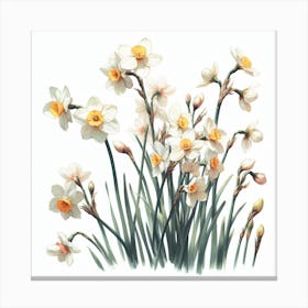 Flowers of Narcissus 3 Canvas Print