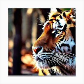 Tiger Wallpaper 2 Canvas Print