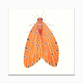 Argina Amanda watercolor moth Canvas Print