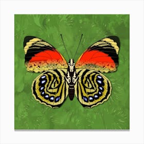 Mechanical Butterfly The Agrias Amydon Tryphon F On A Light Green Background Canvas Print