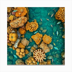 Coral Reef51 Canvas Print