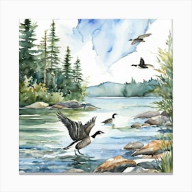 Canadian Geese 18 Canvas Print