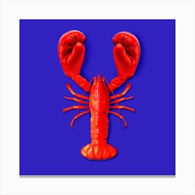 Lobster Fighting Square Canvas Print