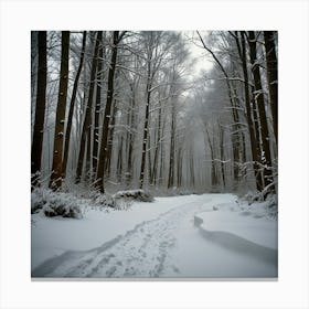 Snowy Forest Path Canvas Print