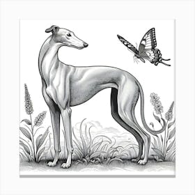 Line Art greyhound dog 4 Canvas Print