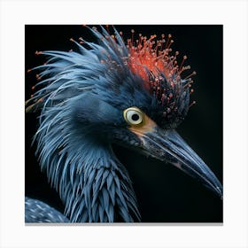 Blue Heron Canvas Print