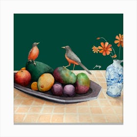 Rufous-bellied thrush - Green Canvas Print