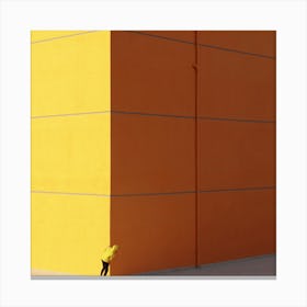 Orange Is The New Lemon Canvas Print