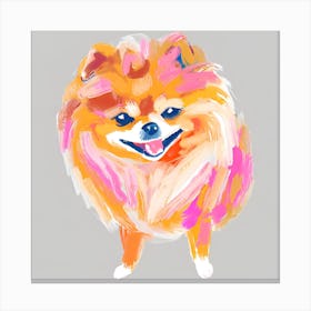 Pomeranian 04 Canvas Print