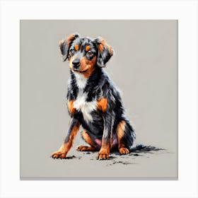 Australian Shepherd Canvas Print