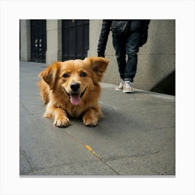 Dog Laying On The Sidewalk 1 Canvas Print