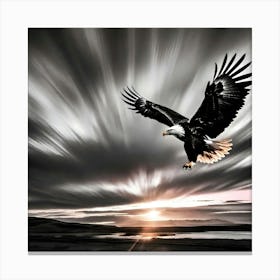 Bald Eagle Canvas Print