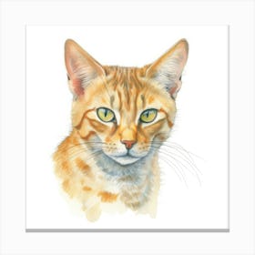 Exotic Cat Portrait 3 Canvas Print