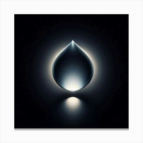 Water Drop On A Black Background Canvas Print