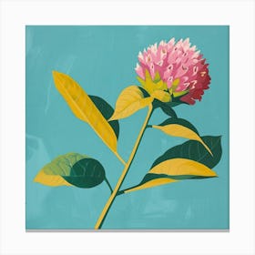 Globe Amaranth Square Flower Illustration Canvas Print