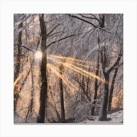 Beautiful Snowy Forest Wimter scene Canvas Print