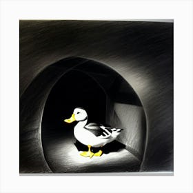 Duck in black cave  Canvas Print