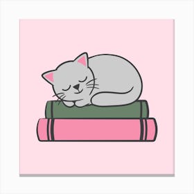 Cat Sleeping On Books Canvas Print