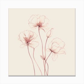 Pink Poppies Canvas Print