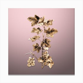 Gold Botanical Redcurrant Plant on Rose Quartz Canvas Print