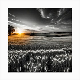 Sunset In A Wheat Field 9 Canvas Print