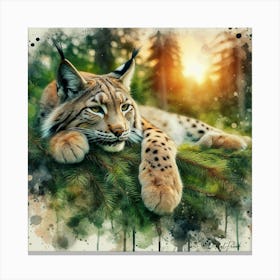 Lynx On The Pine Tree II. Canvas Print