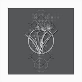Vintage Golden Hurricane Lily Botanical with Line Motif and Dot Pattern in Ghost Gray n.0183 Canvas Print
