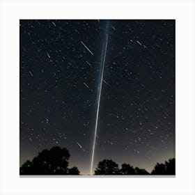 Meteor Streaks Across The Sky Canvas Print