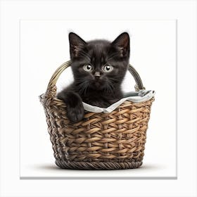 Kitty in A Basket Canvas Print