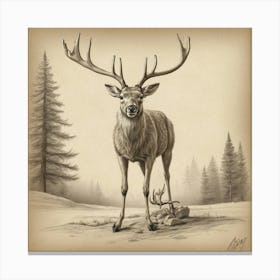 Stag! 2 Canvas Print