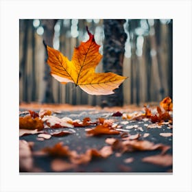 Autumn Leaf In The Forest 1 Canvas Print