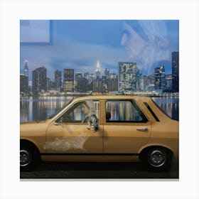 Unbelievable #7 Whistlers Mother Canvas Print