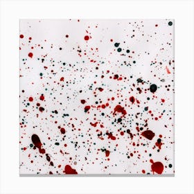 Stains On The Canvas Canvas Print