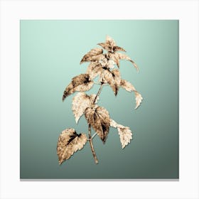 Gold Botanical White Dead Nettle Plant on Mint Green n.3711 Canvas Print
